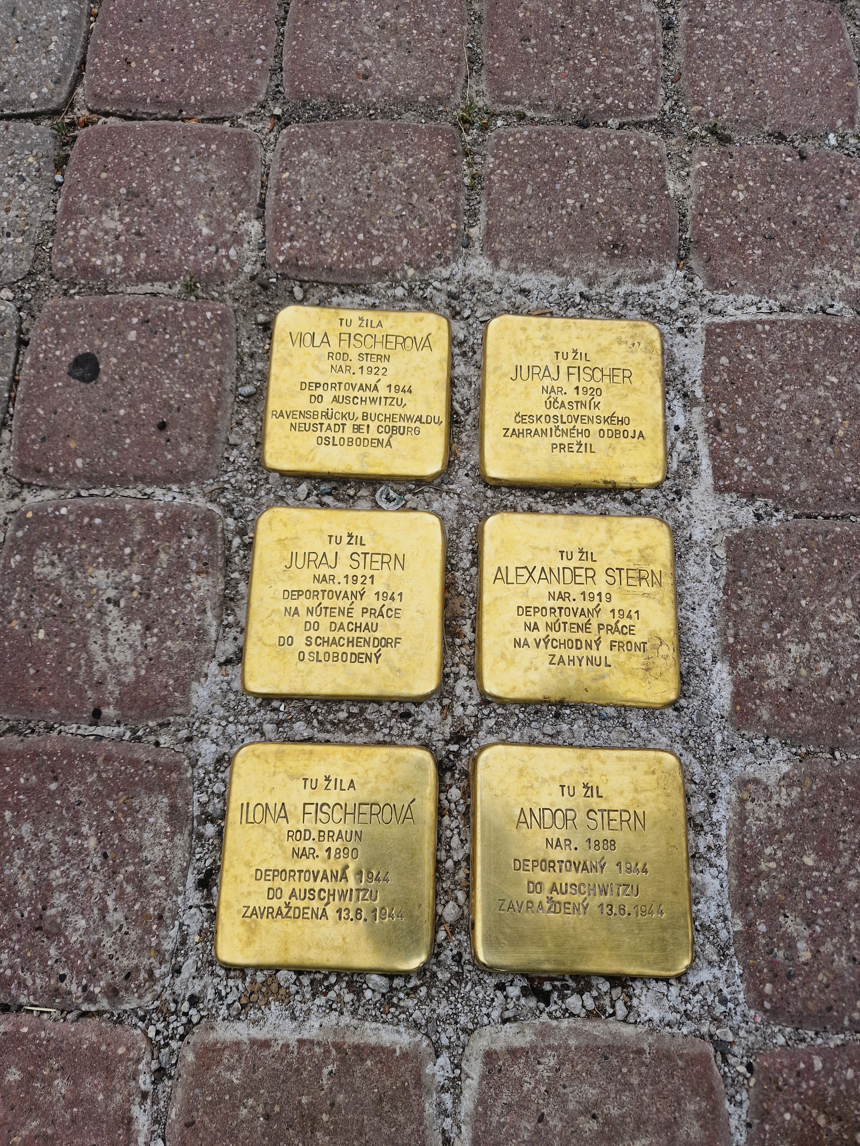 Viola Fischer Stolperstein